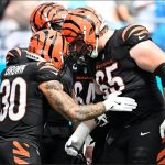 7 winners and 2 losers from Bengals’ 34-24 win at Panthers