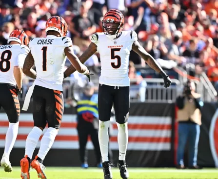 9 winners and 2 losers from Bengals’ significant triumph over the Browns