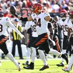 Bengals favored over Eagles in Week 8